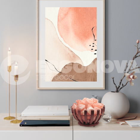 Соляная лампа Ergonova Himalay Wood Vase (Очаг Чаша)